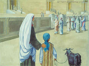 רעיון לפרשת השבוע "אֱמֹר"