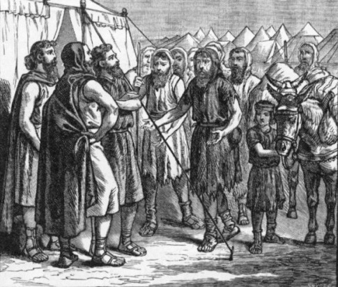 מבט לפרשת השבוע "ניצבים"