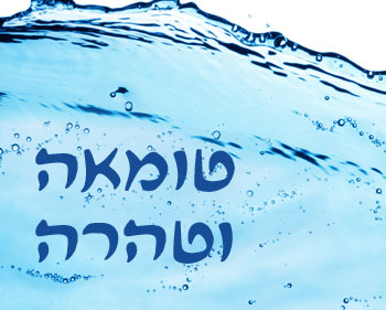 פרשת תזריע ● טומאה וטהרה
