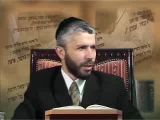 פרשת נח - הרב זמיר כהן