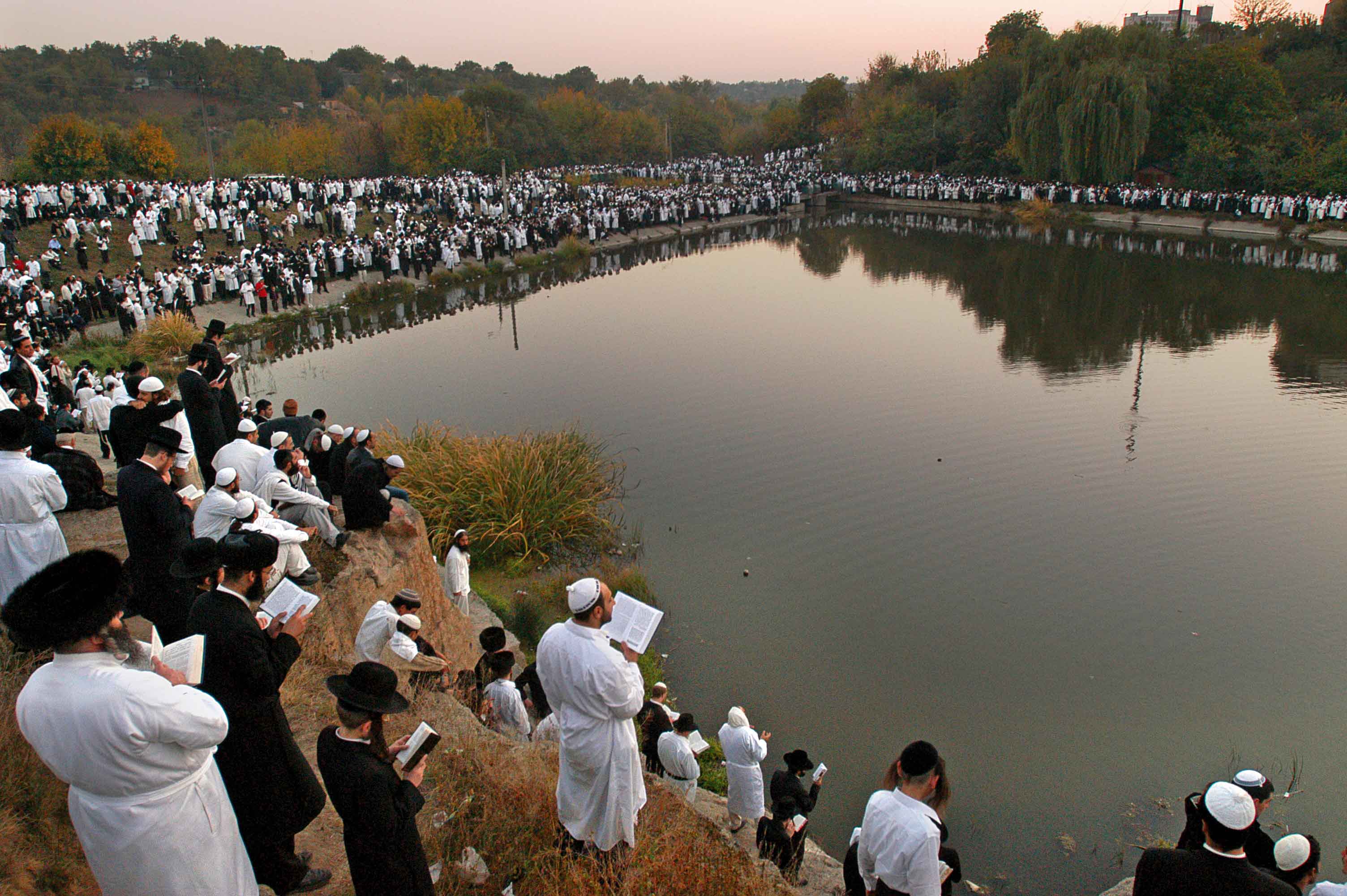 "תשליך" באומן