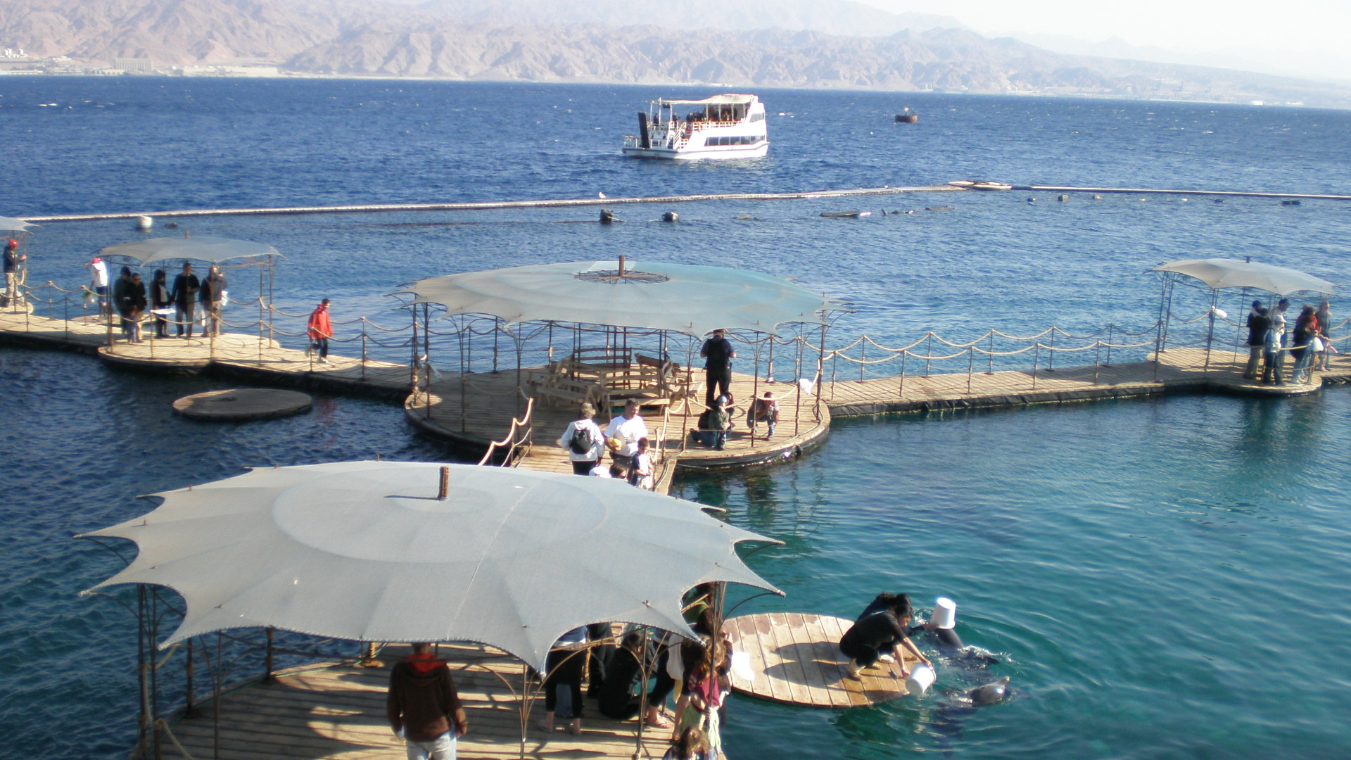 ריף הדולפינים באילת. מקום מפוקפק?