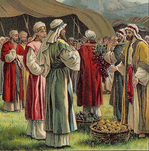 מבט לפרשת השבוע "שלח"