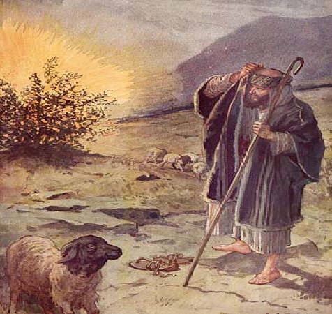 איור: גטי אימג' בנק ישראל