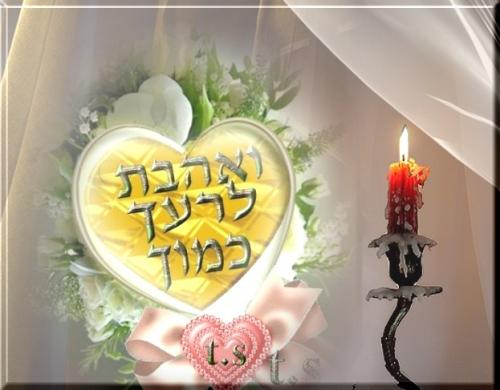 רעיון לפרשת השבוע "קְדֹשִׁים"