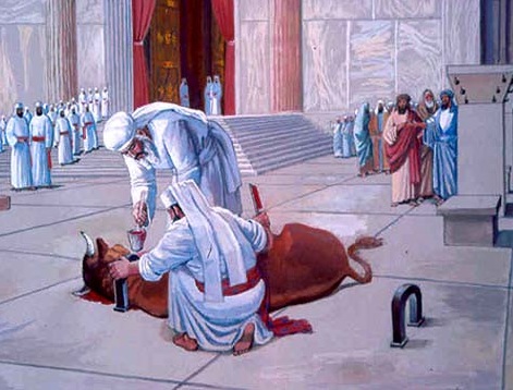 מבט לפרשת השבוע "ויקרא"