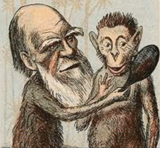 דרווין, ממציא האבולוציה, עם קרוב משפחה