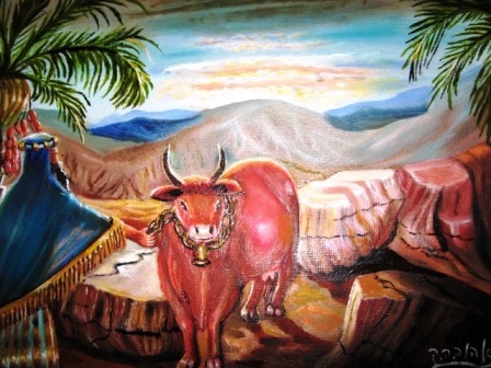 איור: אהובה קליין