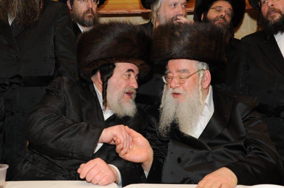 הרב ליב מינצברג עם האדמו"ר מויזניץ