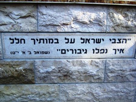 מבט לפרשת השבוע "אמור"