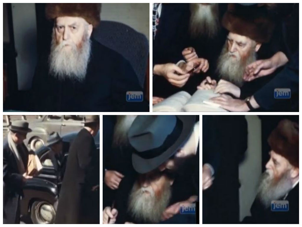 צילום: שטורעם