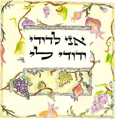 מבט לפרשת השבוע "מטות-מסעי"