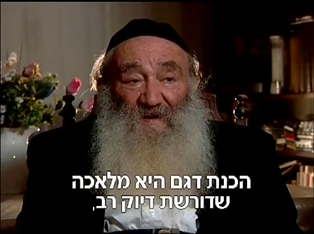 בשבריר שניה, אבחן הרבי טעות של מילימטרים ● וידאו