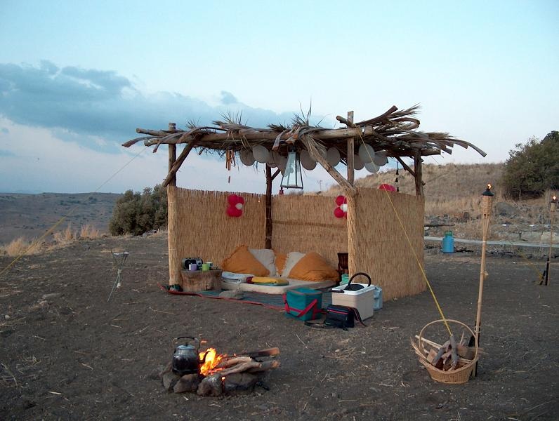 מבט לפרשת השבוע "אמור"