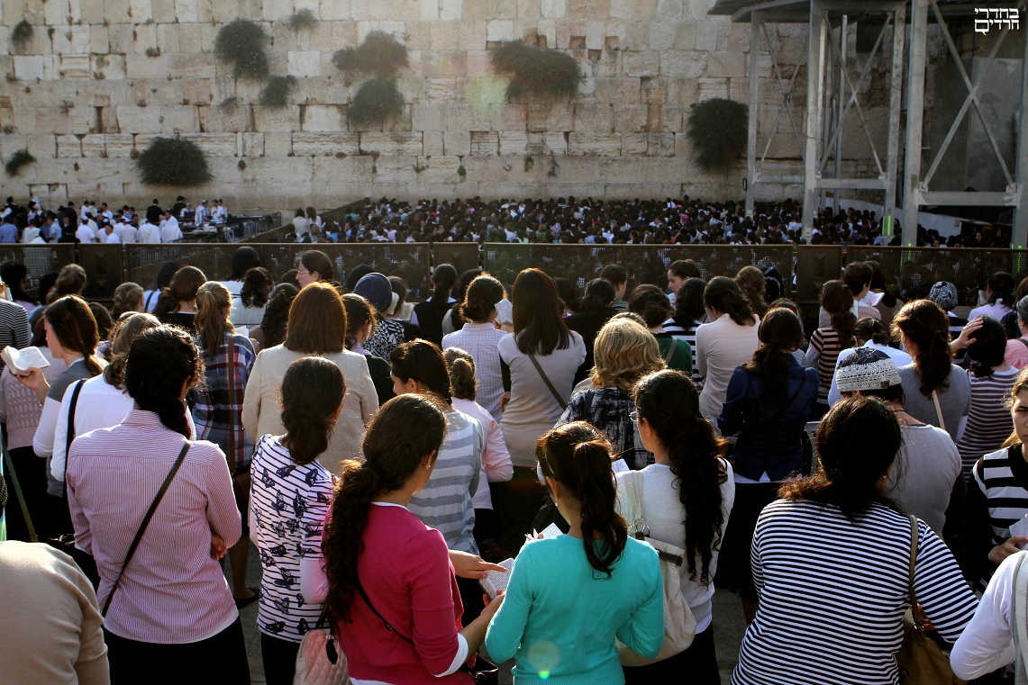 הנשים החרדיות בכותל. צילום: בחדרי חרדים