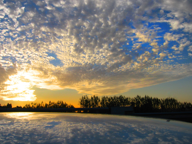 פרשת בראשית ● על קרקע ה"בראשית"
