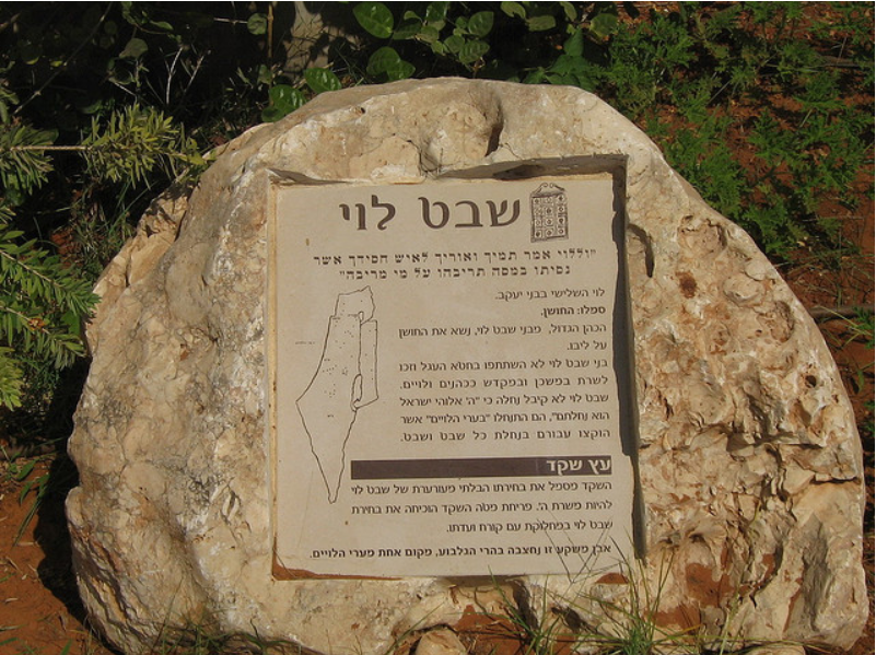 צילום: נחמה בבושקה