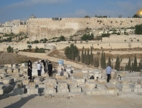 מתפללים בקברו של "אור החיים"