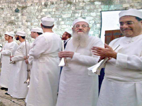 הרב ריסקין וכהנים נוספים (צילום: מכון המקדש)