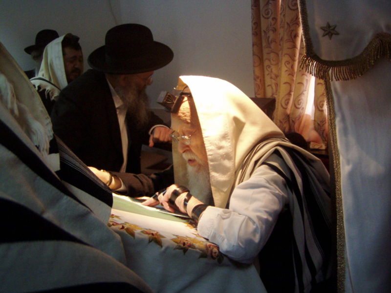 צילום: NeveShanan