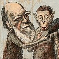 דרווין, ממציא האבולוציה, עם קרוב משפחה