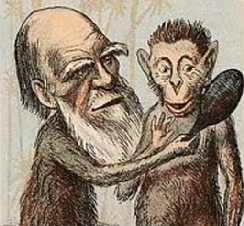 דרווין, ממציא האבולוציה, עם קרוב משפחה (הגדל)