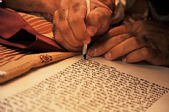 צילום: ynet (הגדל)