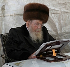 שנתיים לפטירת הרבי מסדיגורה (הגדל)