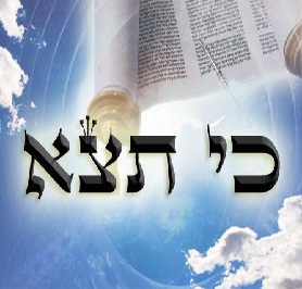 רעיון לפרשת השבוע "כי תצא"