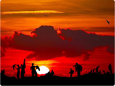 רעיון לפרשת השבוע "כִּי תֵצֵא"