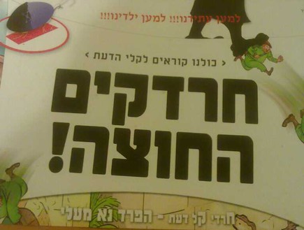 צילום: מאקו