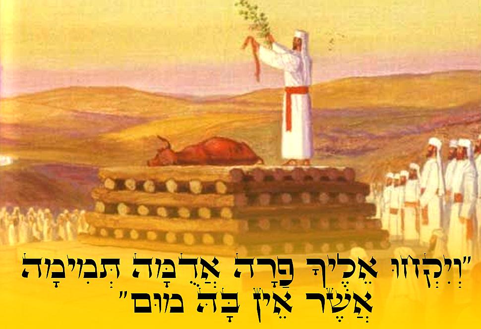 רעיון לפרשת השבוע "חוקת"